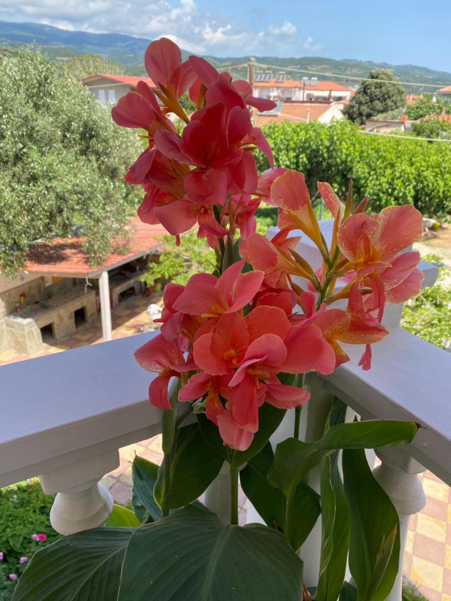 Tsatsoni - Anastasiou Appartement