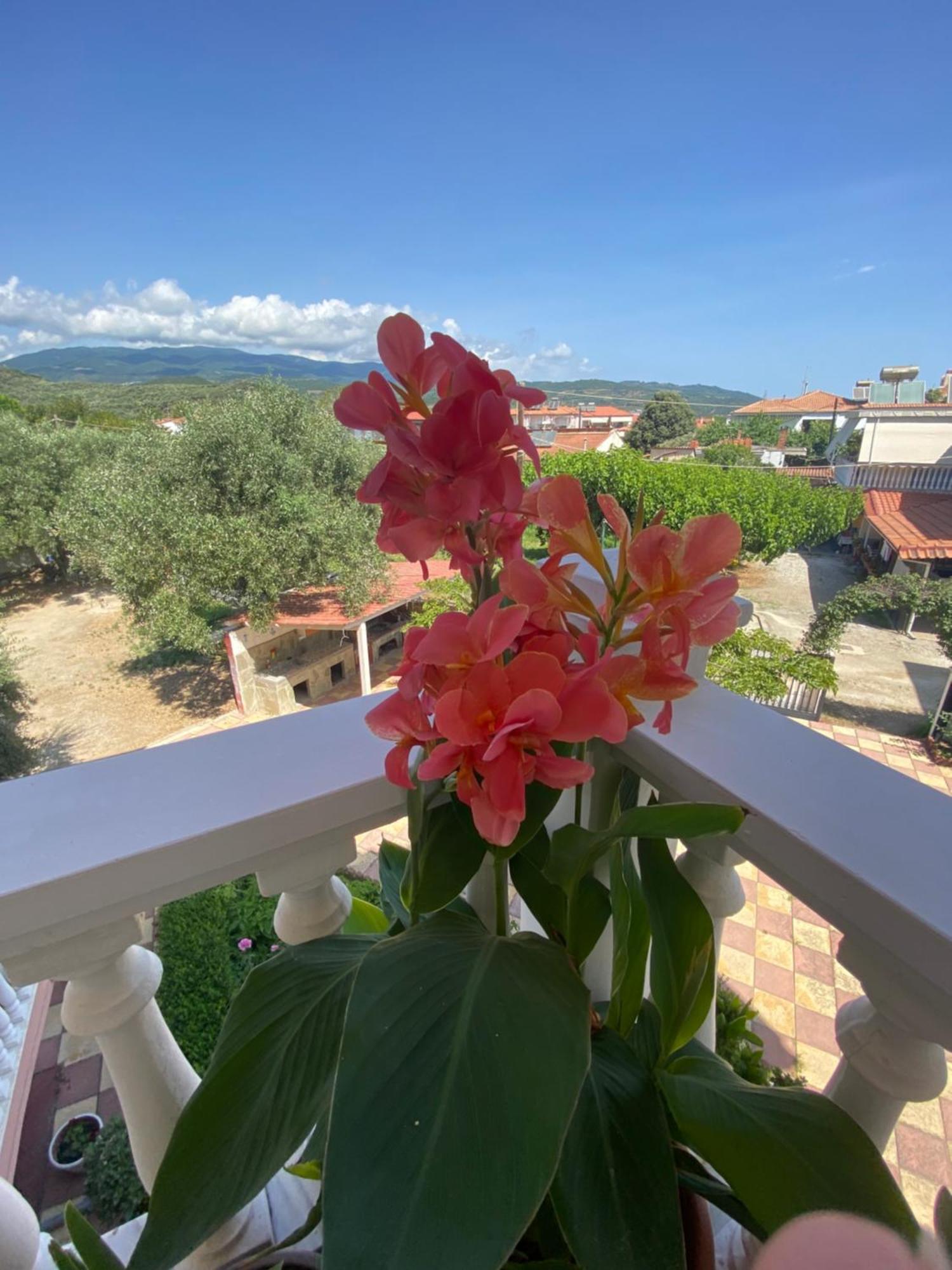 Tsatsoni - Anastasiou Appartement *